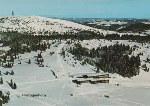 Herzogenhorn - ca. 1980