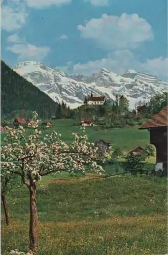 Schweiz - Sachseln, Flüeli-Ranft - Schweiz - blühender Baum