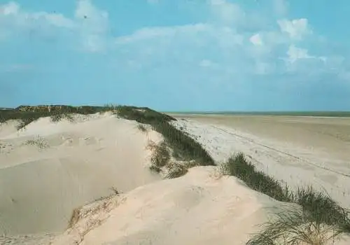 Sylt (Insel) - Dünenausblick - 1987