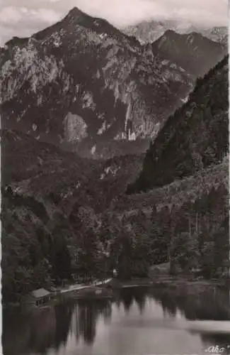 Bergsee im Wald - 1958