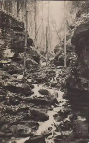 Zwingenberg - Wolfsschlucht - 1928