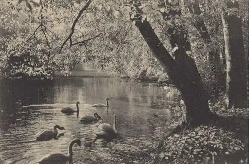 Meiningen - im Englischen Garten