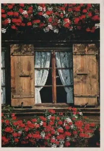 Fenster blumenumrankt