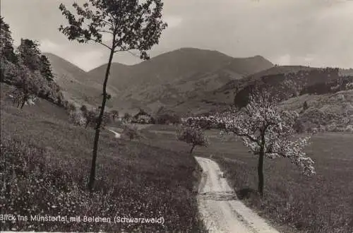 Belchen - Blick ins Münstertal