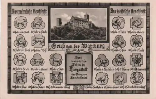 Wartburg Eisenach - männl. u. weibl. - 1957