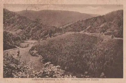 Treseburg Harz - Wilhelmsblick - 1924