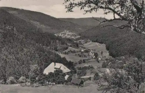 Bad Herrenalb - Herrenalb - Wanderheim im Gaistal - ca. 1955