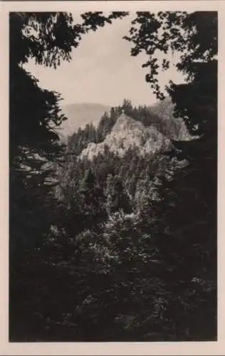 Thüringer Wald - Blick zum Aschenbergstein - 1957