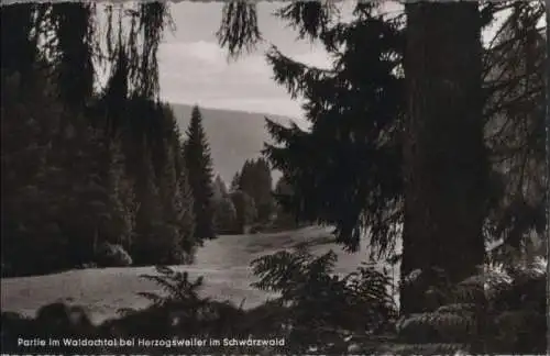 Pfalzgrafenweiler-Herzogsweiler - Partie im Waldachtal - 1964