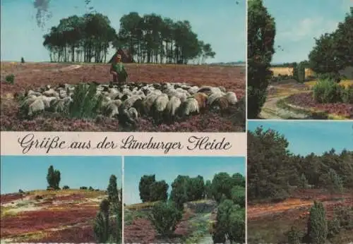 Lüneburger Heide - 1964