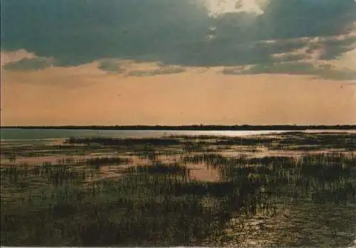 Frankreich - Frankreich - Camargue - Soleil couchant - ca. 1980