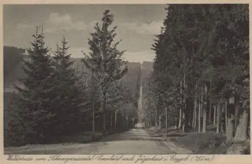 Erzgebirge - Waldstraße Schwarzwassertal-Carolatal nach Jägerhaus