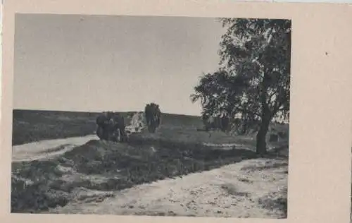 Der Weg in der Landschaft - ca. 1955