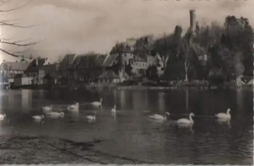 Landsberg - Schwäne auf dem Lech