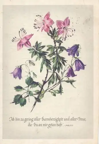 Sinnspruch und Blume