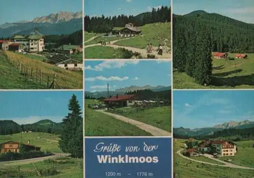 Reit im Winkl - Winklmoos