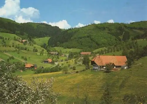 Zell - Oberentsersbach