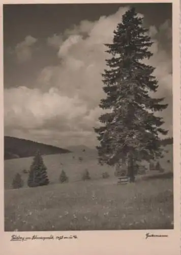 Feldberg / Schwarzwald - ca. 1950