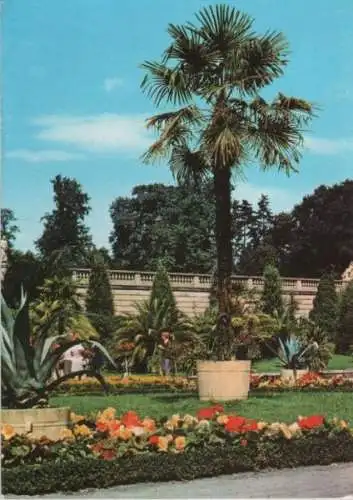 Potsdam, Sanssouci - Sizilianischer Garten - 1982