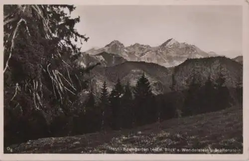 Wendelstein - Blick v. Baumgarten - ca. 1955