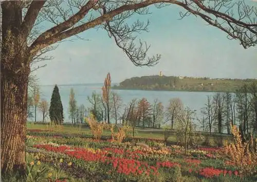 Mainau - Partie an der Frühlingsstraße - ca. 1970