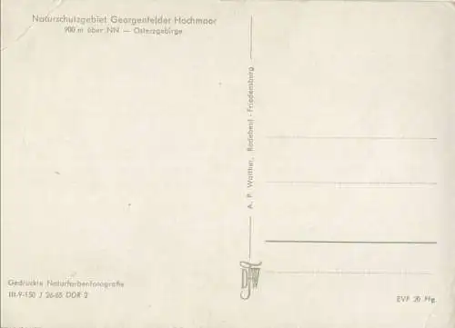 Georgenfelder Hochmoor - Hütte