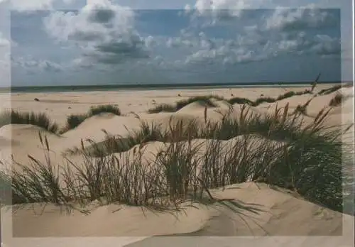 Amrum - Dünen und Strand - 2012