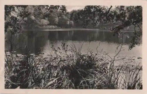 Binz - Rügen - Herthasee - 1957