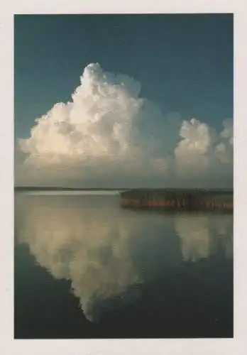 Ostsee - Boddenlandschaft - ca. 1995