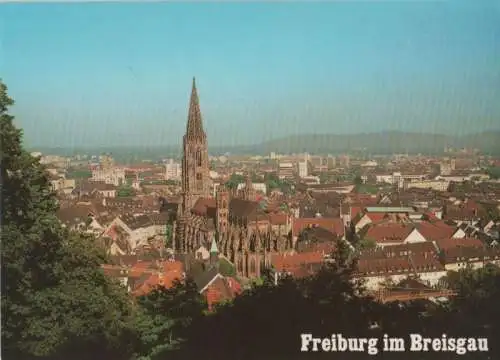 Freiburg - Blick vom Schloßberg - ca. 1985