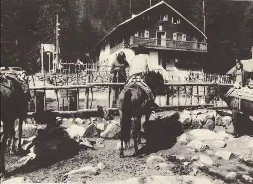 Bulgarien - Pirin-Gebirge - Bulgarien - Hütte Demjaniza