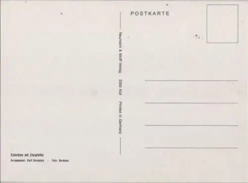 Euforbien mit Zierpfeffer Arrangement