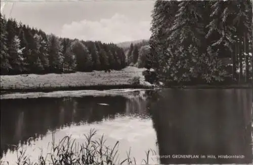 Delligsen-Grünenplan - Hilsbornteich - 1962