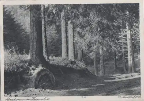 Schierke - Abendsonne im Harz - 1941