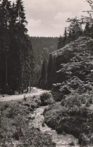 Warmensteinach - Blick ins Löchleinstal - ca. 1955