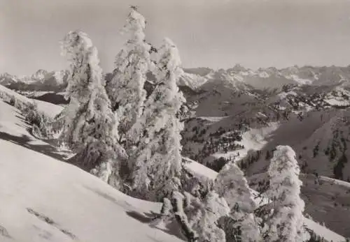 unbekannter Ort - schneebedeckte Bäume