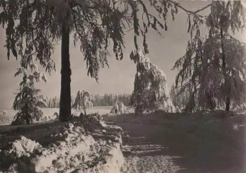 Friedrichroda - Spießbergstraße - 1959