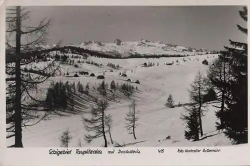 Österreich - Österreich - Tauplitzalm - Schigebiet - 1955