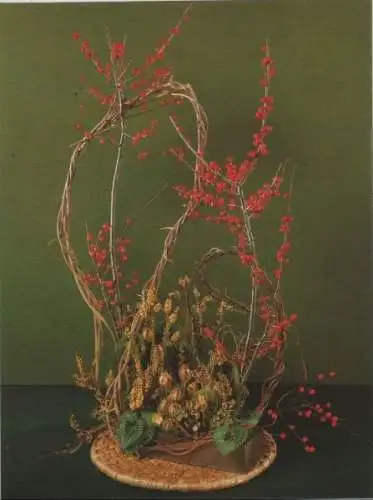 Ilex Arrangement