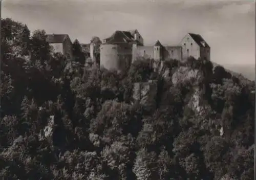 Donau - Burg Wildenstein - 1970