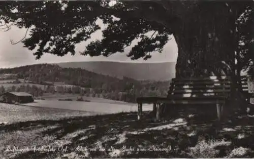 Friedenfels - Blick von der alten Buche - ca. 1960