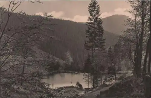 Oberhof - Pfanntalsteich - 1962