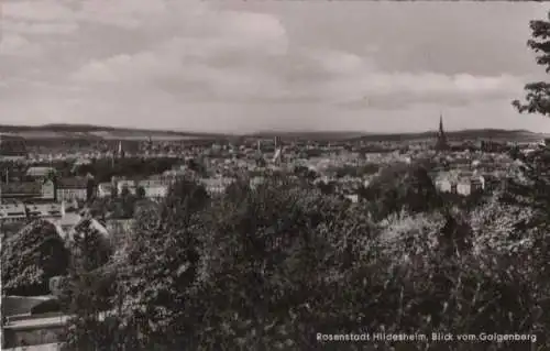 Hildesheim - Blick vom Galgenberg - ca. 1960