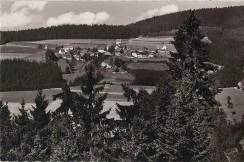 Schwarzenbach-Bernstein - Vordere Schneid - ca. 1960