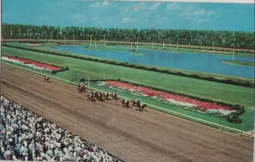 USA - USA - Hialeah - Race course - ca. 1970