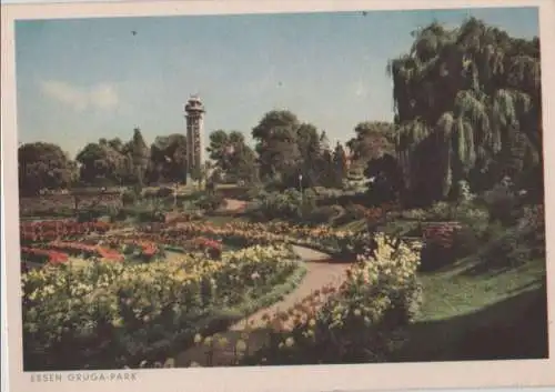 Essen - Gruga-Park - 1954