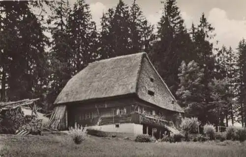 Winterberg-Altastenberg - Parkmühle