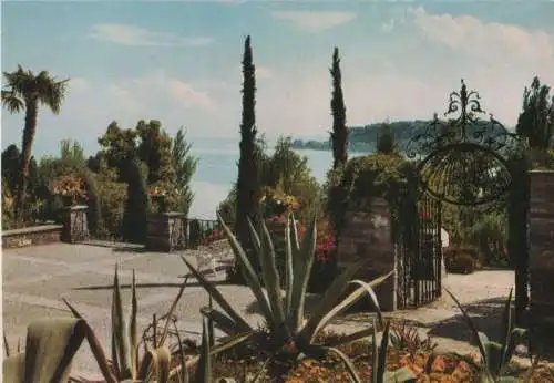 Mainau (Insel) - Terrasse