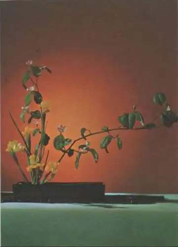 Ikebana Blüten. liebenswerte Boten