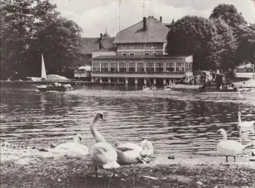 capu - Gaststätte Fährhaus